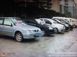 綠化道變經營地，宜賓翠柏大道的“后臺”之謎